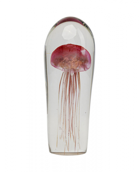 Jellyfish Rosso